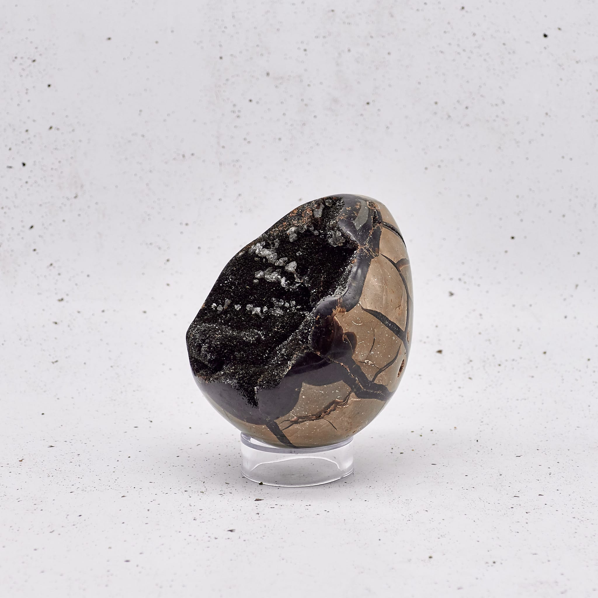 Septarian - Special #095