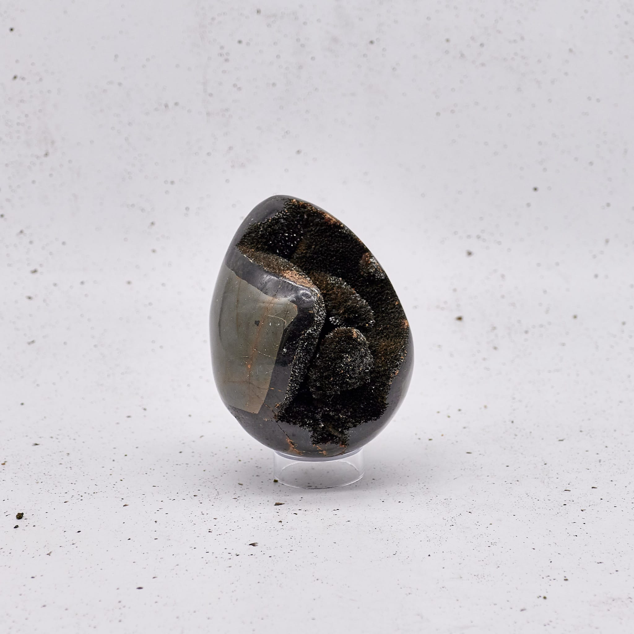 Septarian - Special #097