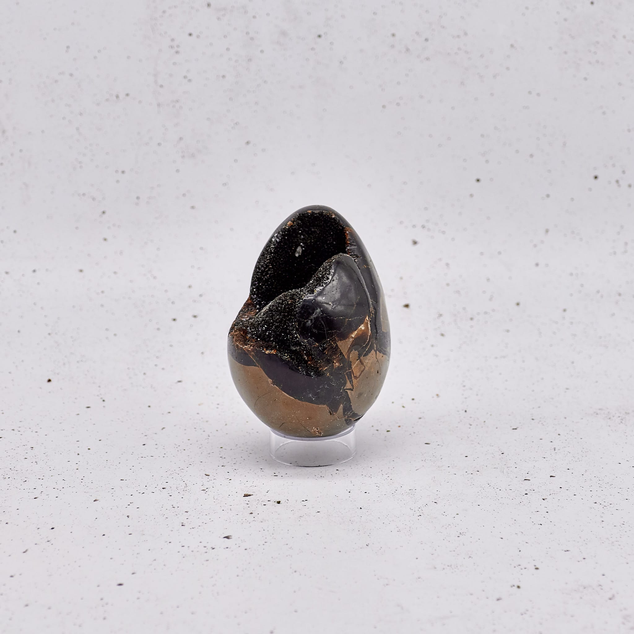 Septarian - Special #100