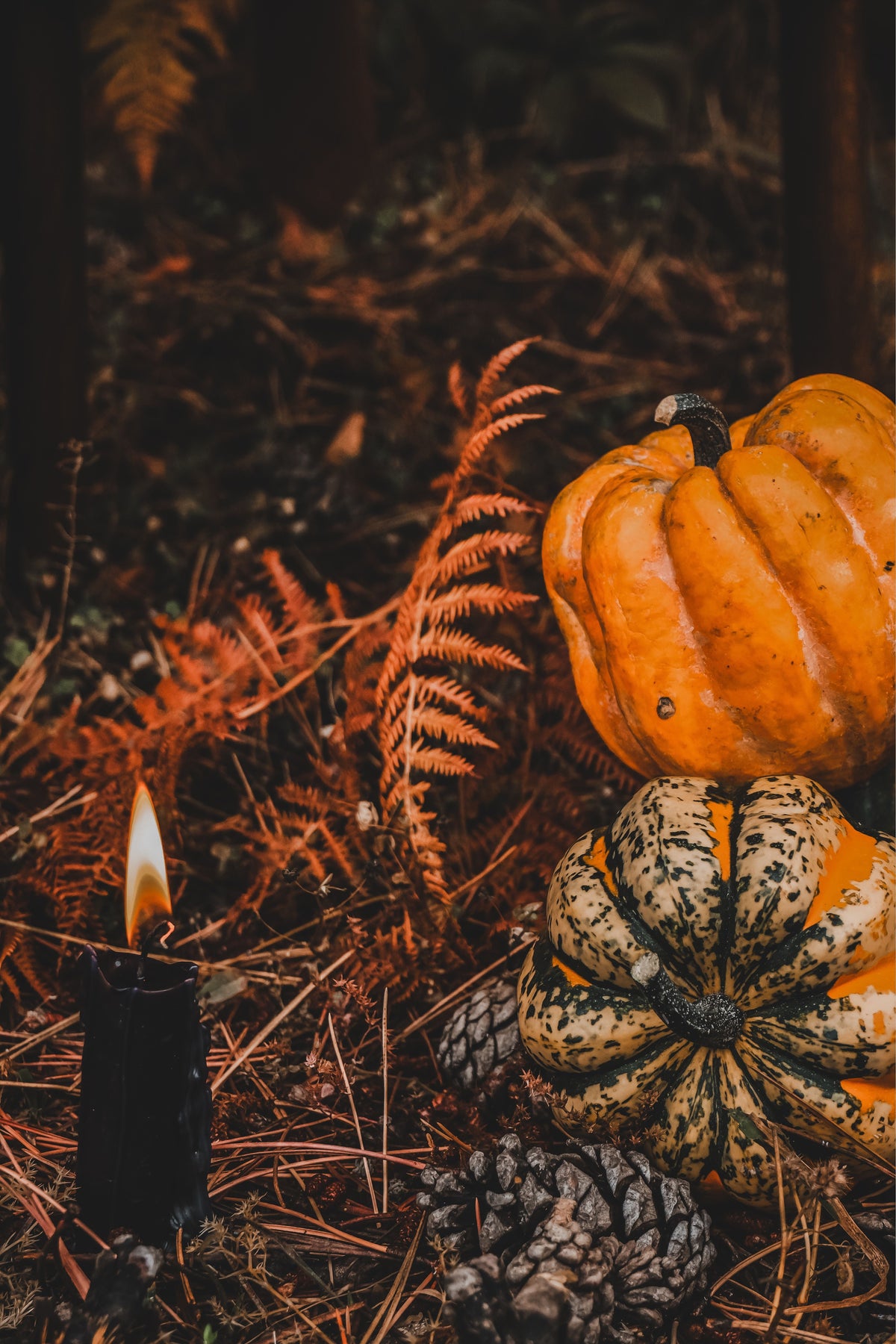 Izdelki za Samhain